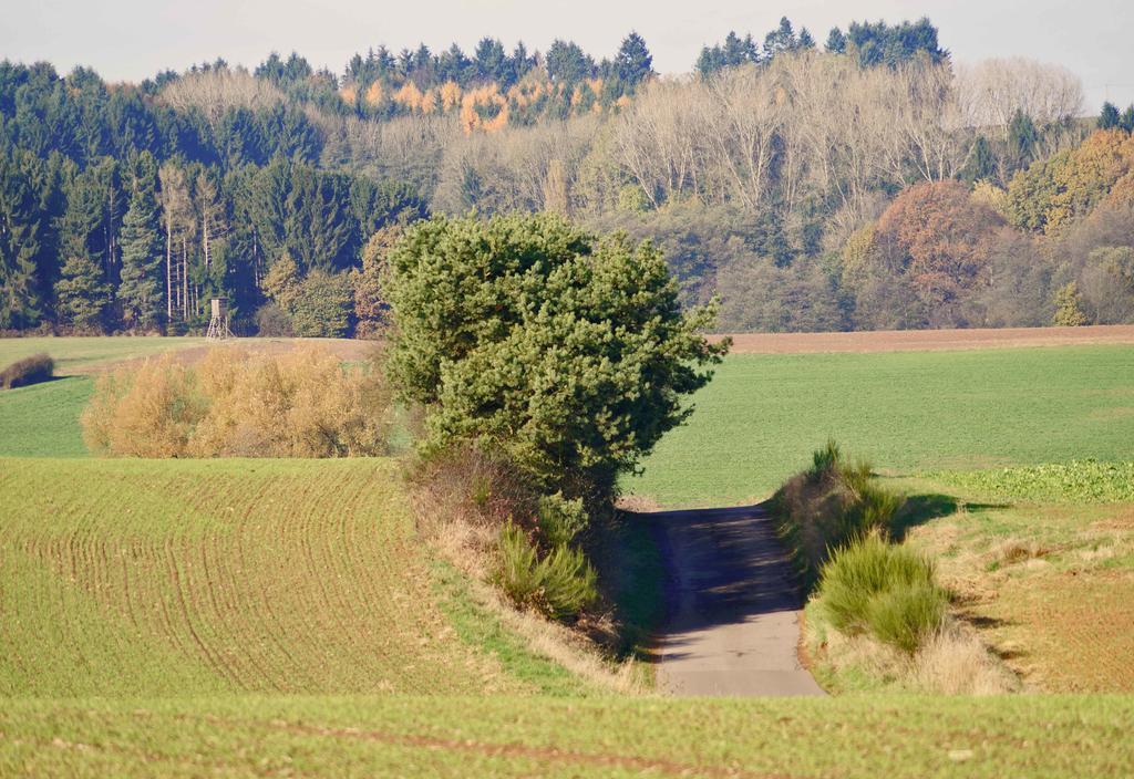 Saarlandtraum Weihermuehle Schmelz エクステリア 写真